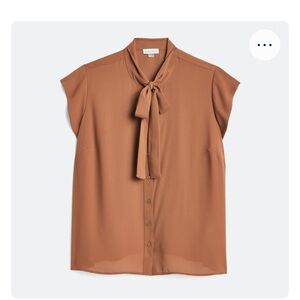 Elegant Tan Women's Tie-Neck Blouse